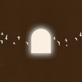 새로운 세계 The New World