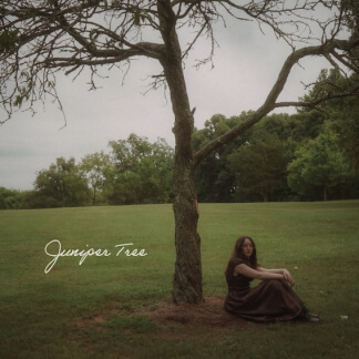Juniper Tree