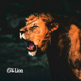 The Lion