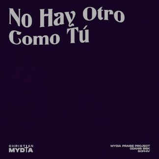 No Hay Otro Como Tú