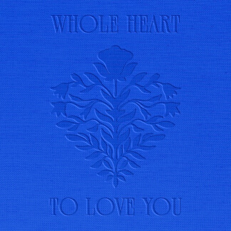 Whole Heart (To Love You)
