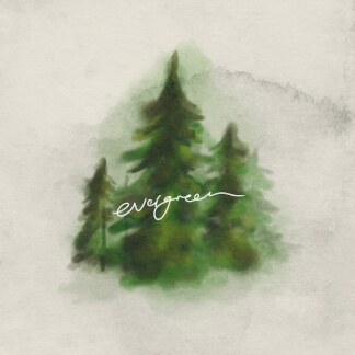 Evergreen