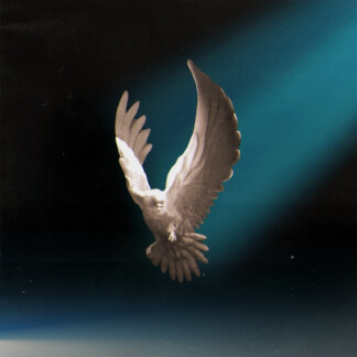 Spirit Fall