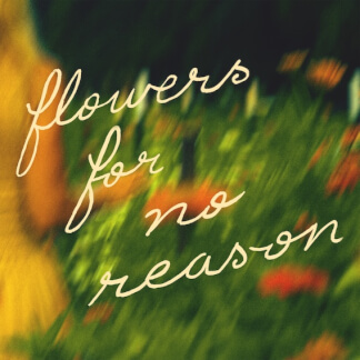 Flowers For No Reason