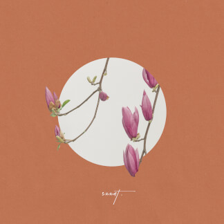 Raise a Hallelujah (feat. Praise Lubangu & Trumpet Pete)