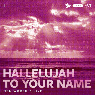 Hallelujah To Your Name