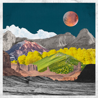 The Wilderness and the Wonderland