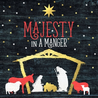 Majesty in a Manger