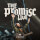 The Promise (Live)