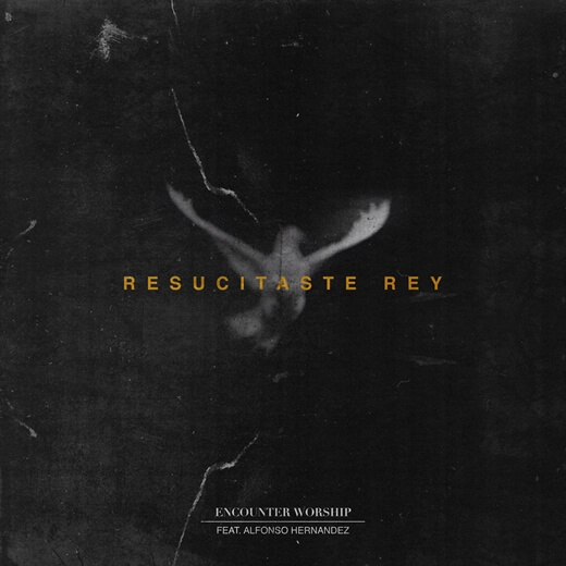 Resucitaste Rey by Encounter Worship | MultiTracks.com