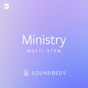 Ministry - Felt Piano Soundbed