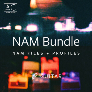 NAM Pedals + Amps