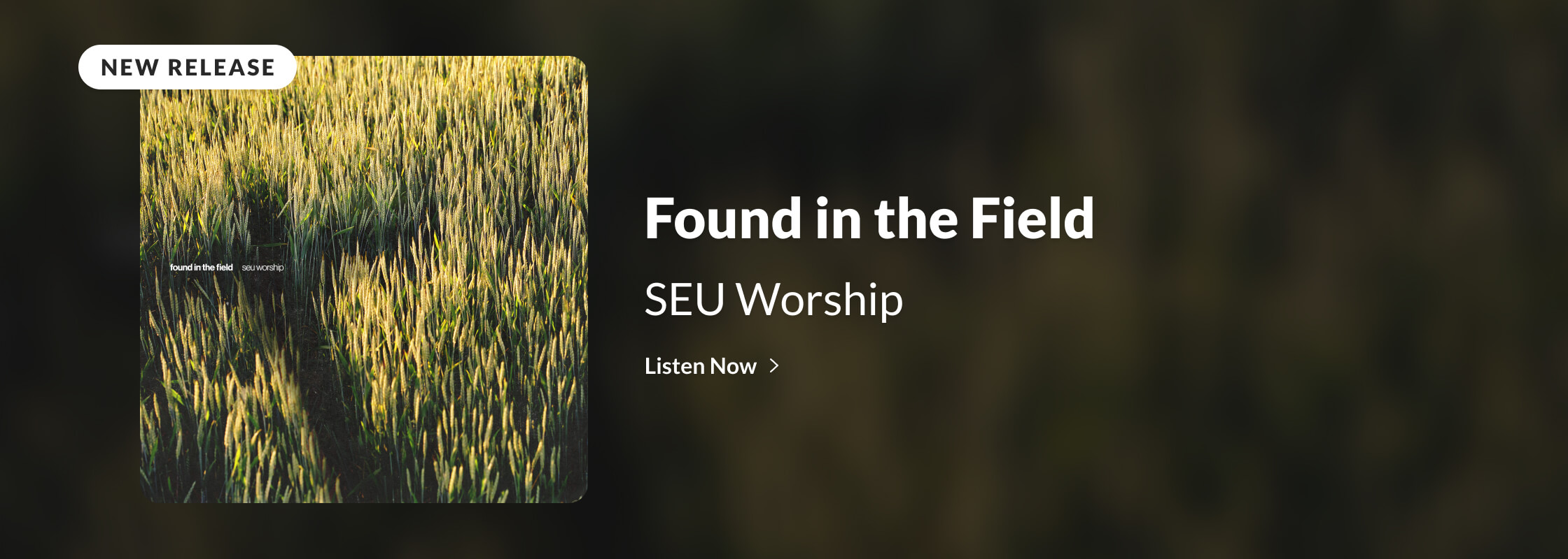 SEU Worship | Found in the Field